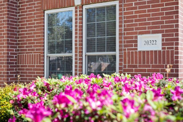 20322 Cembra Walk, Spring, TX 77379