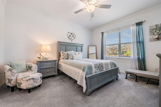 6787 RIPPLE POND LOOP, Zephyrhills, FL 33541