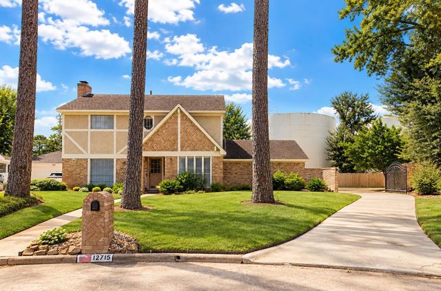 12715 Big Stone Drive, Houston, TX 77066