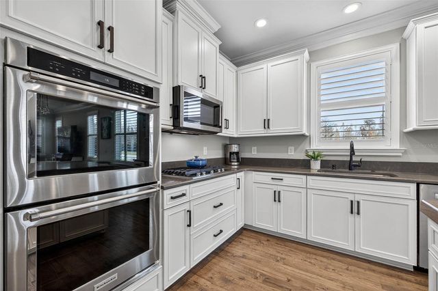 17268 BRIGHTON LAKE ROAD, Land O Lakes, FL 34638