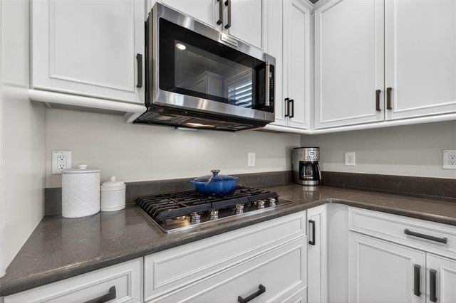 17268 BRIGHTON LAKE ROAD, Land O Lakes, FL 34638