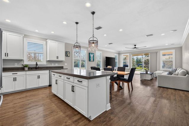 17268 BRIGHTON LAKE ROAD, Land O Lakes, FL 34638