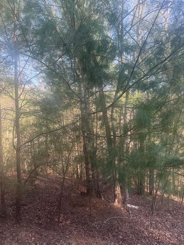 Lot 12 Rainbow Valley Drive, Murphy, NC 28906