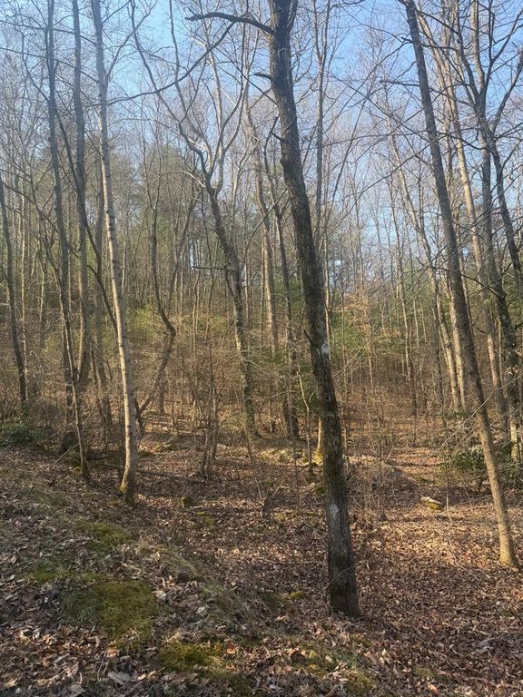 Lot 12 Rainbow Valley Drive, Murphy, NC 28906