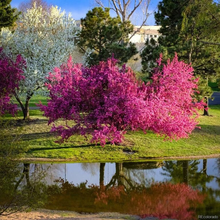 7000 E Quincy Avenue 217, Denver, CO 80237