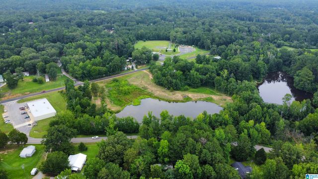 12072 HIGHWAY 43, Vandiver, AL 35176