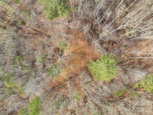 2701 Roses Branch Road, Bakersville, NC 28705