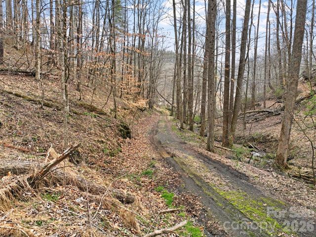 2701 Roses Branch Road, Bakersville, NC 28705