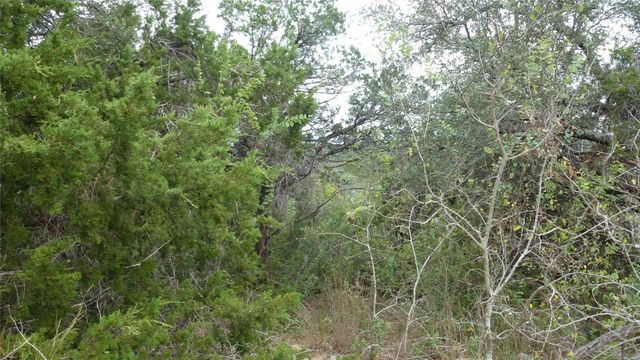 20815 Rawhide TRL, Lago Vista, TX 78645