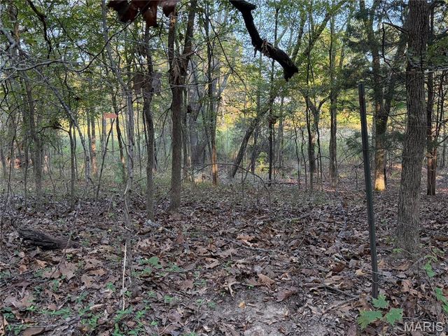 0 Off BCR 810, Glen Allen, MO 63751