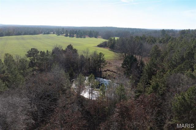 0 Off BCR 810, Glen Allen, MO 63751