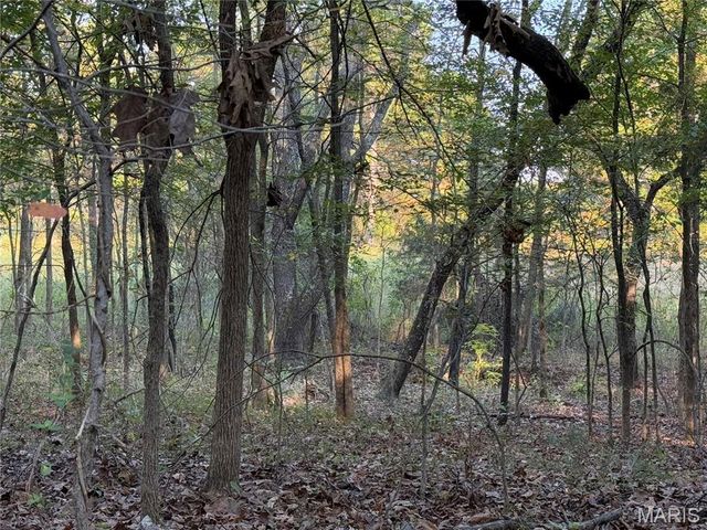 0 Off BCR 810, Glen Allen, MO 63751