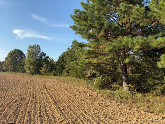 0 Off BCR 810, Glen Allen, MO 63751