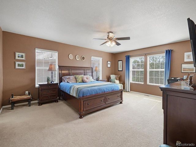1752 Hogan Ct, Castle Rock, CO 80109
