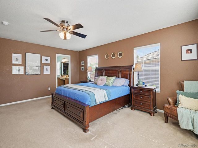1752 Hogan Ct, Castle Rock, CO 80109