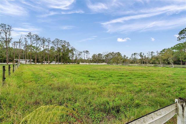 655 APPALOOSA ROAD, Tarpon Springs, FL 34688