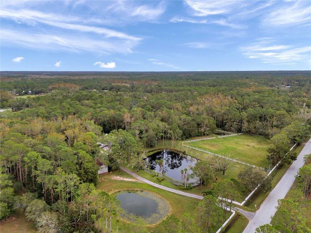 655 APPALOOSA ROAD, Tarpon Springs, FL 34688