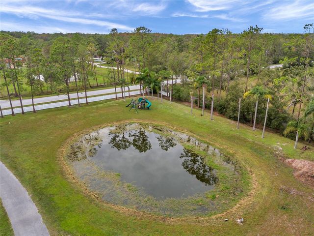 655 APPALOOSA ROAD, Tarpon Springs, FL 34688