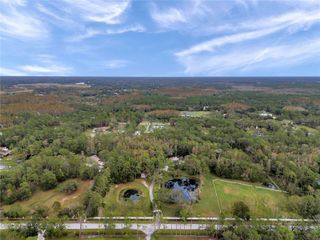 655 APPALOOSA ROAD, Tarpon Springs, FL 34688