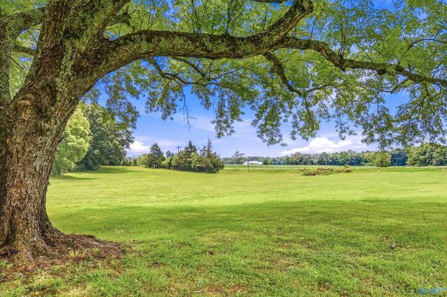 26208 Highway 127, Elkmont, AL 35620