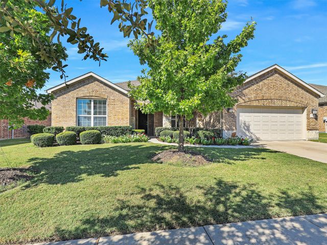 2464 Luna Vista Lane, Frisco, TX 75036