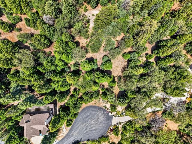372 Redtail Hawk, Lake Arrowhead, CA 92352