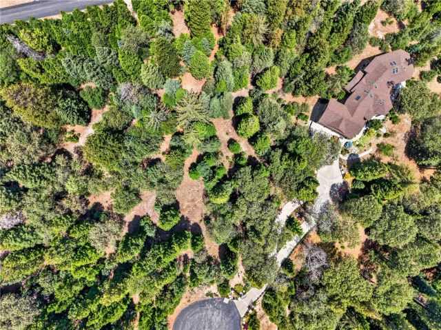 372 Redtail Hawk, Lake Arrowhead, CA 92352