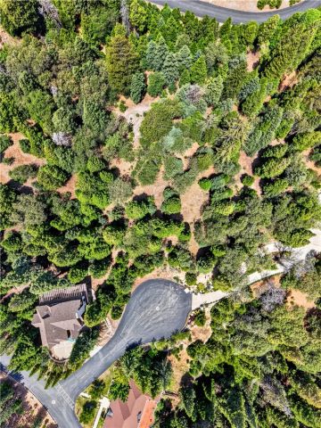 372 Redtail Hawk, Lake Arrowhead, CA 92352