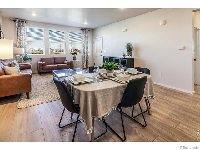 2060 Autumn Moon Drive 2, Windsor, CO 80550