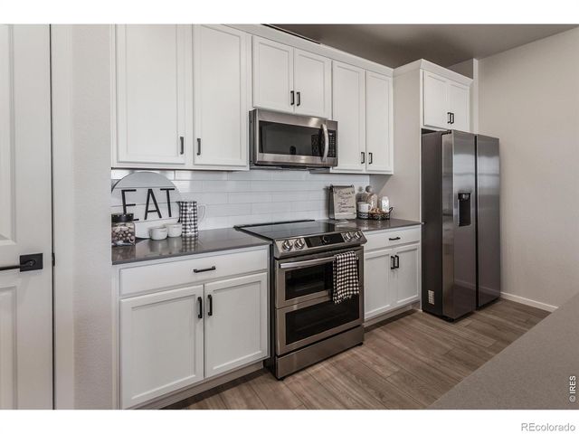 2060 Autumn Moon Drive 2, Windsor, CO 80550