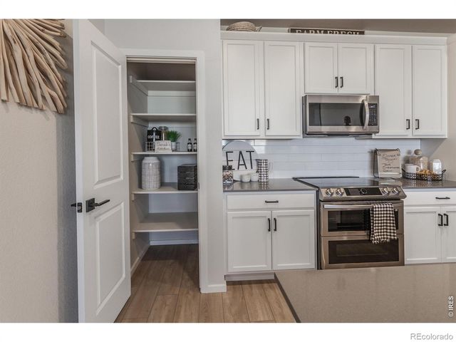 2060 Autumn Moon Drive 2, Windsor, CO 80550