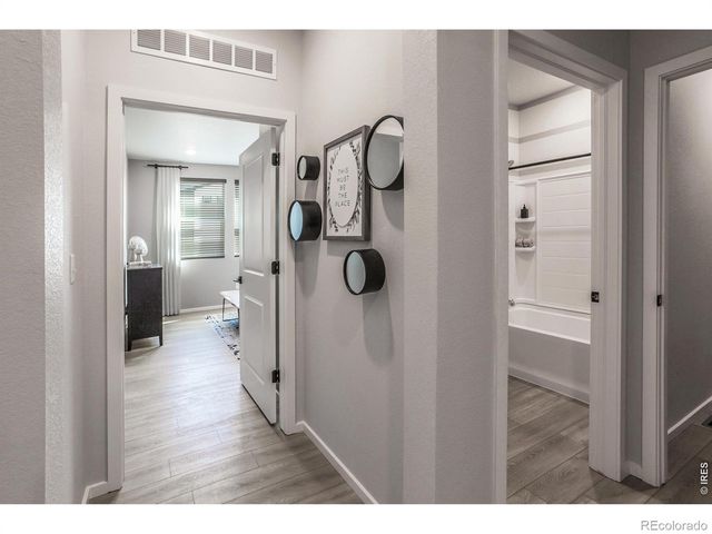 2060 Autumn Moon Drive 2, Windsor, CO 80550