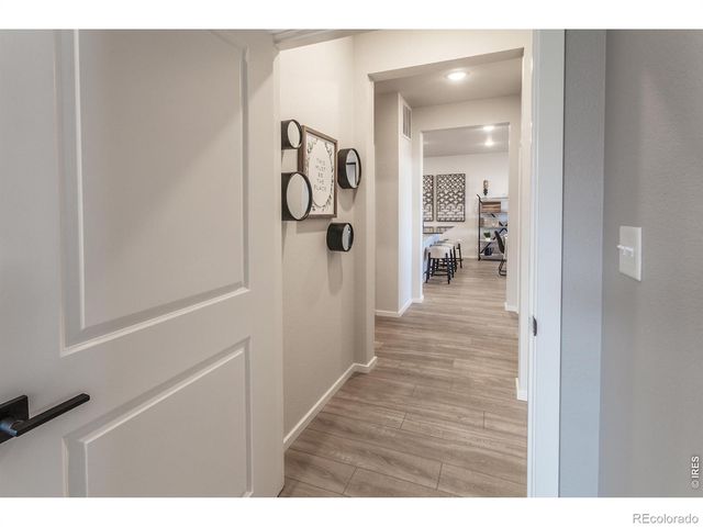 2060 Autumn Moon Drive 2, Windsor, CO 80550