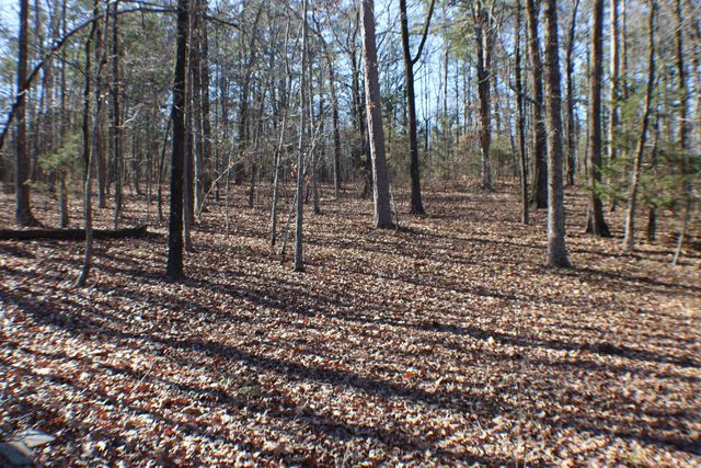 39 Dike View Drive, Heber Springs, AR 72543