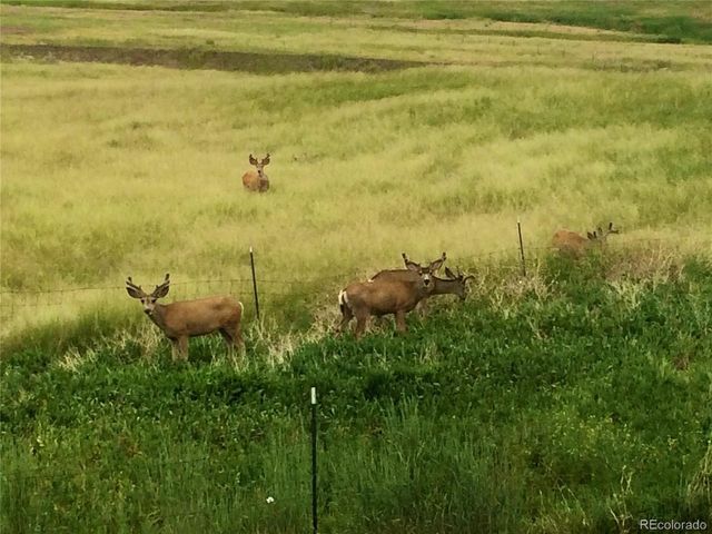 4190 County Road 154, Elizabeth, CO 80107