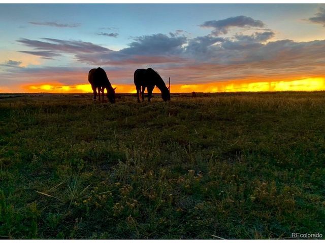 4190 County Road 154, Elizabeth, CO 80107