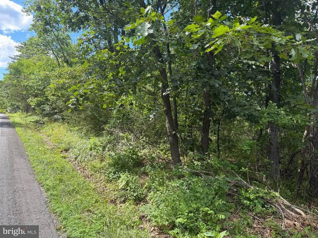 LOT 13 REDBUD RD, Stephenson, VA 22656