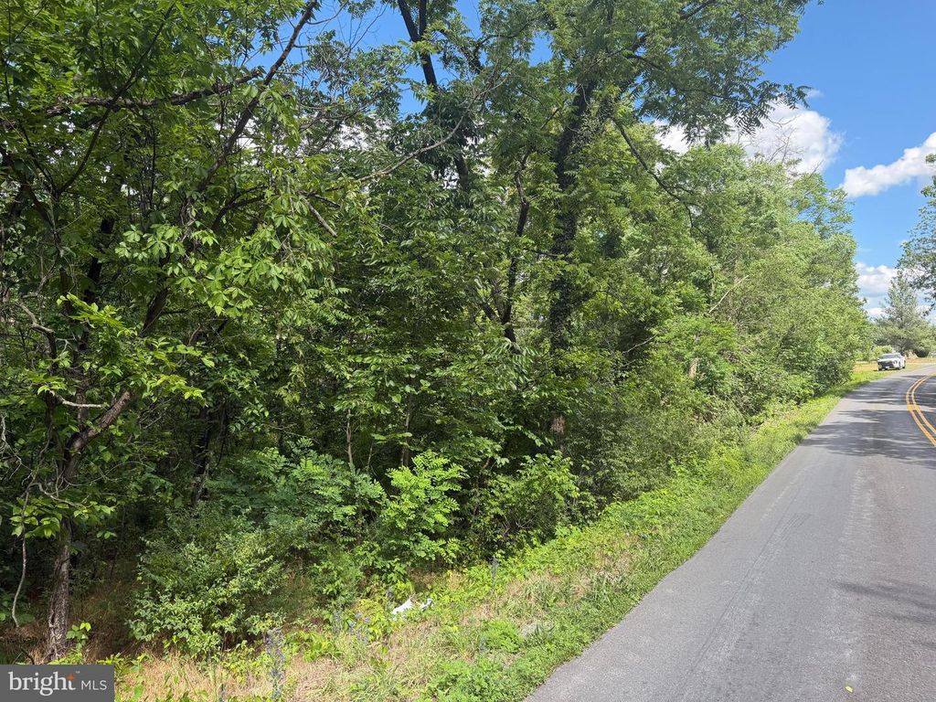 LOT 13 REDBUD RD, Stephenson, VA 22656
