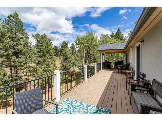 1427 N Mountain Estates Rd, Florissant, CO 80816