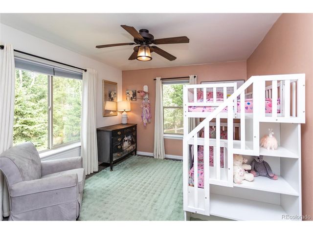 1427 N Mountain Estates Rd, Florissant, CO 80816