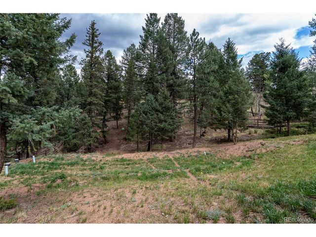 1427 N Mountain Estates Rd, Florissant, CO 80816