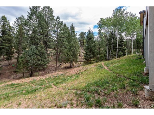 1427 N Mountain Estates Rd, Florissant, CO 80816