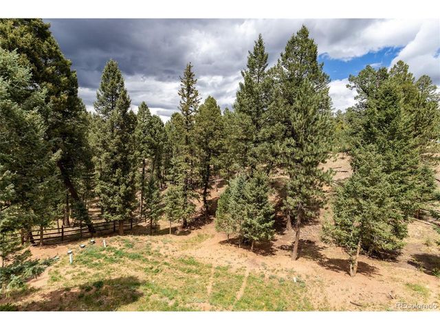 1427 N Mountain Estates Rd, Florissant, CO 80816