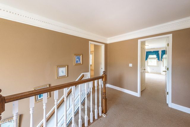 1009 Bard Lane, Kingsport, TN 37660