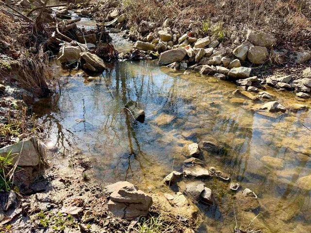 9359 45 HWY, Bethel Springs, TN 38315