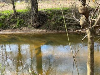 1480 Co Rd 814, Higdon, AL 35979