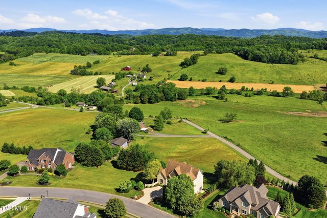165 Laurel Ridge Drive, Jonesborough, TN 37659