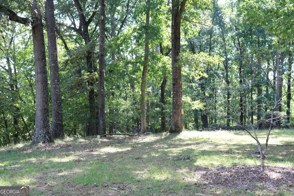 2096 Roy Woods Road, Comer, GA 30629 — photo 3