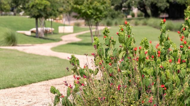 1645 Hosanna Grande WAY, Leander, TX 78641