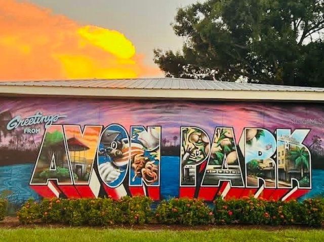 613 S WILLOW AVENUE, Avon Park, FL 33825